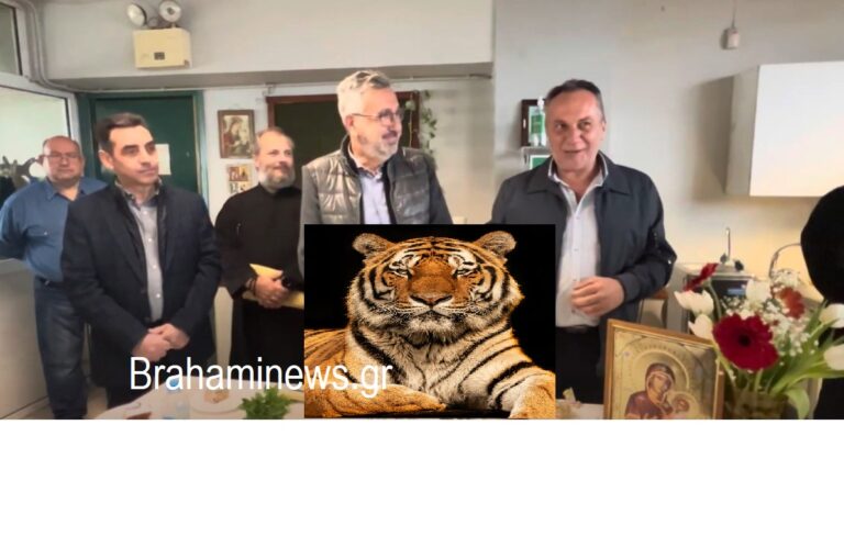i-anartisi-mamalaki-i-tigris-toy-kai-o-anashimatismos-minymata-me-noima-brahaminewsgr.jpg